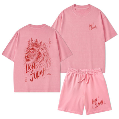 Lion Of Judah He Has Triumphed Christian Washed T-Shirt & Shorts
