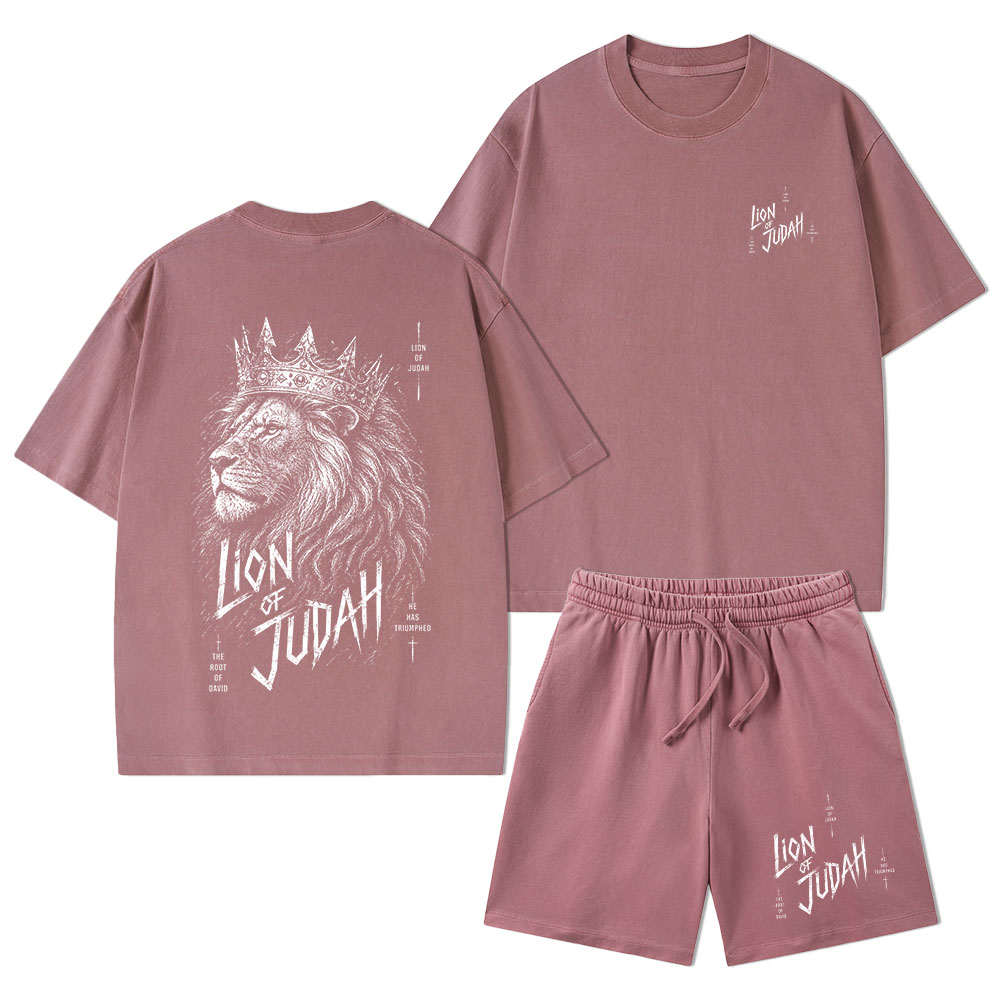 Lion Of Judah He Has Triumphed Christian Washed T-Shirt & Shorts