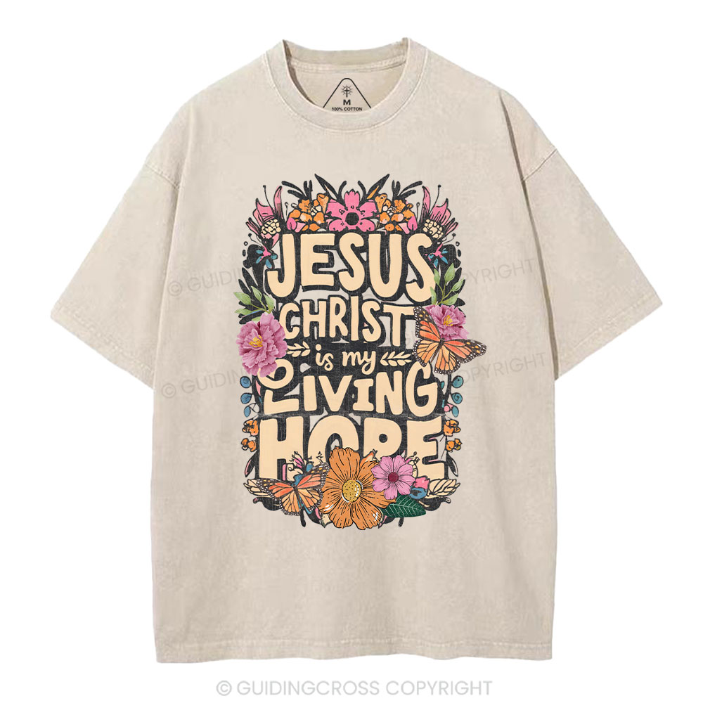 Living Hope Christian Washed T-Shirt