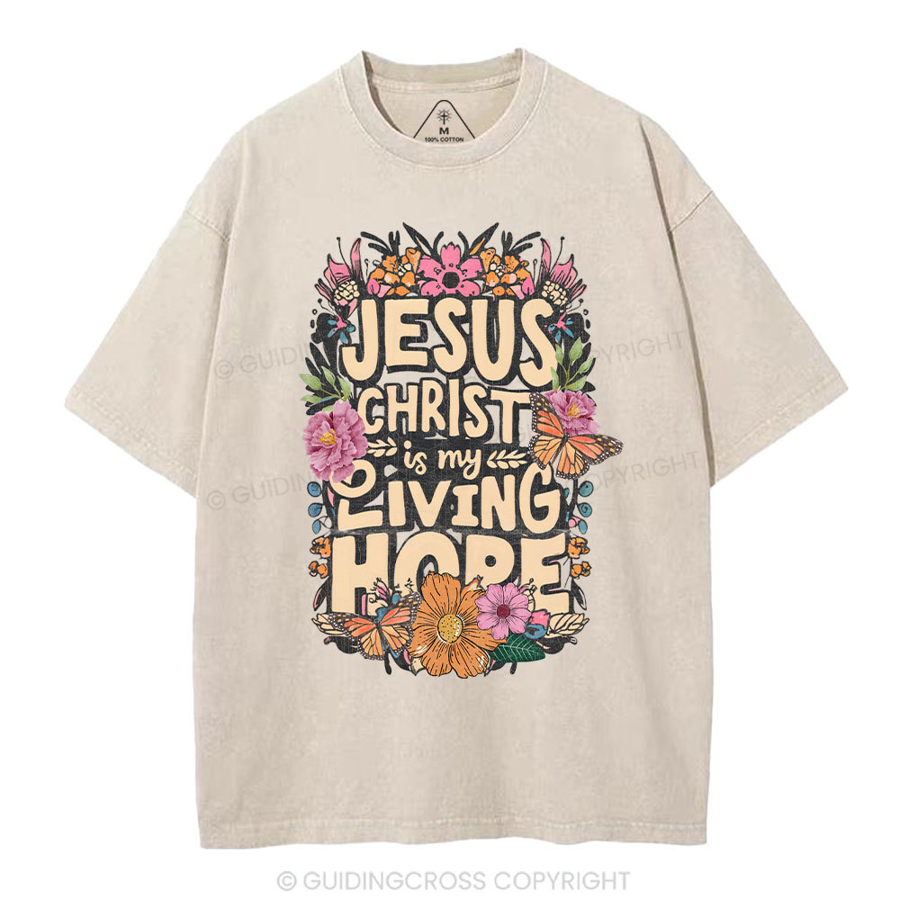 Living Hope Christian Washed T-Shirt