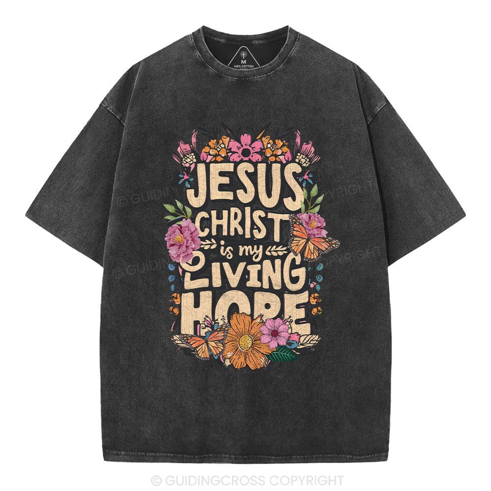 Living Hope Christian Washed T-Shirt