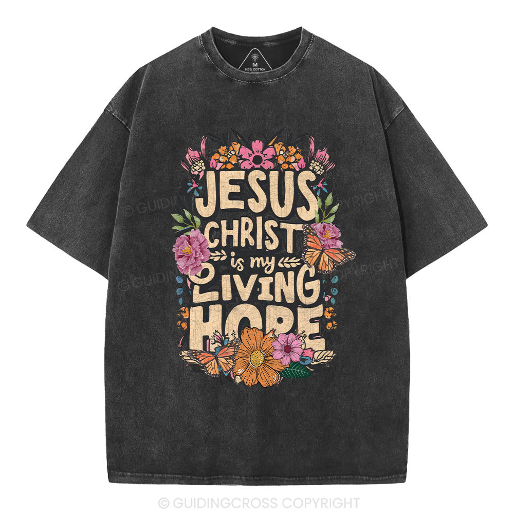 Living Hope Christian Washed T-Shirt