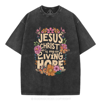 Living Hope Christian Washed T-Shirt