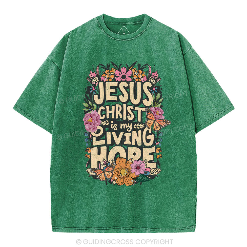 Living Hope Christian Washed T-Shirt