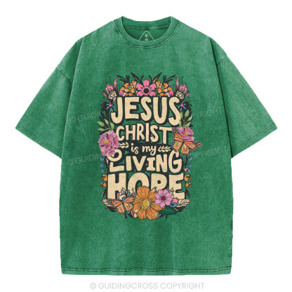 Living Hope Christian Washed T-Shirt
