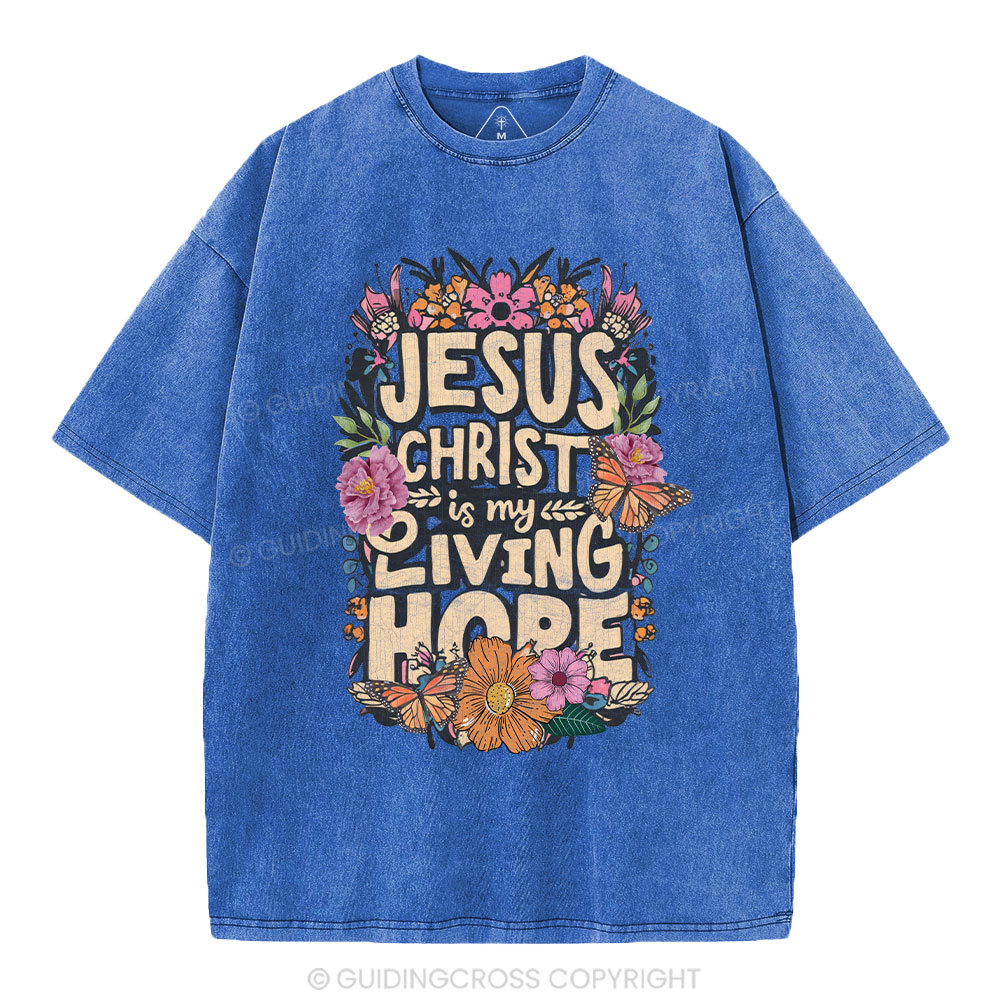 Living Hope Christian Washed T-Shirt