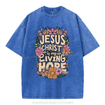 Living Hope Christian Washed T-Shirt