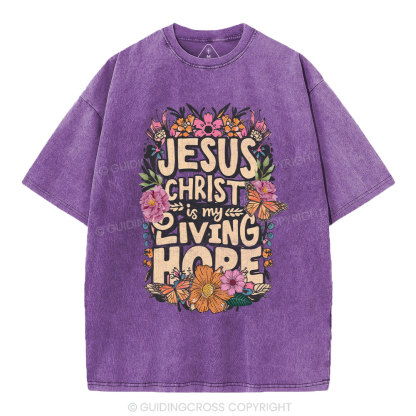 Living Hope Christian Washed T-Shirt
