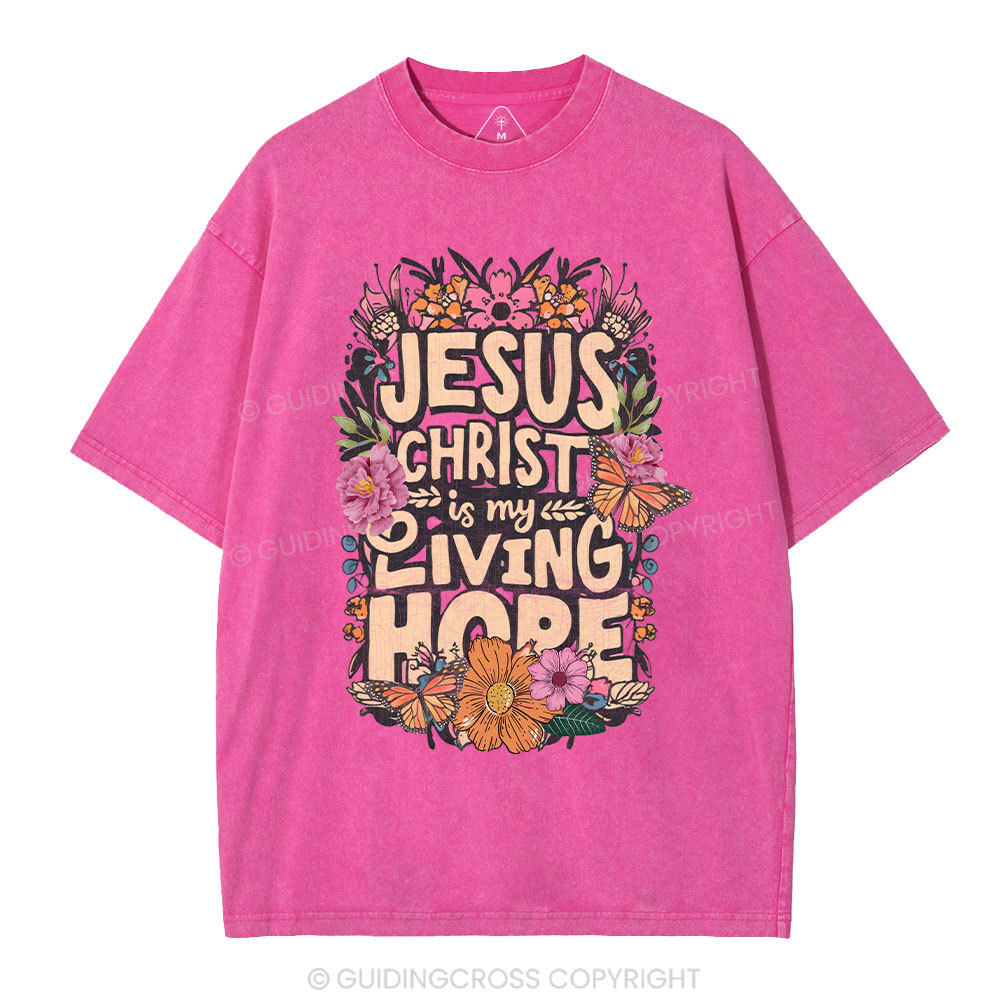 Living Hope Christian Washed T-Shirt