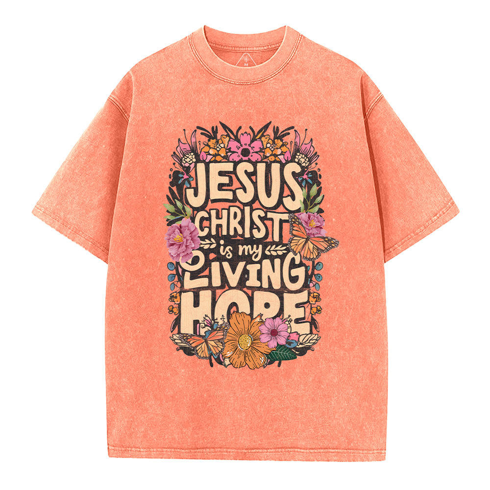 Living Hope Christian Washed T-Shirt