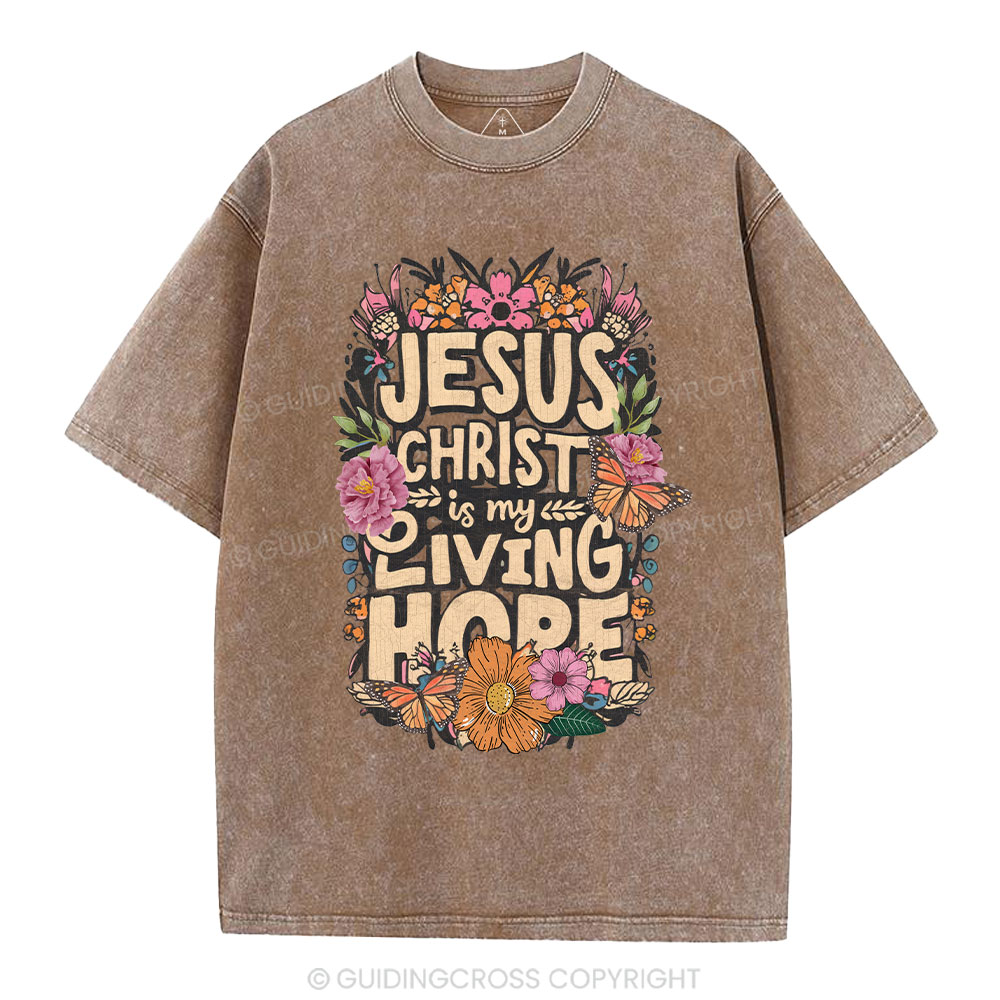 Living Hope Christian Washed T-Shirt