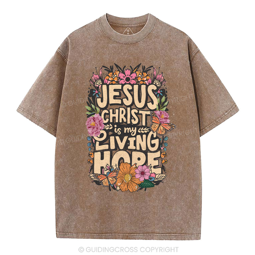 Living Hope Christian Washed T-Shirt