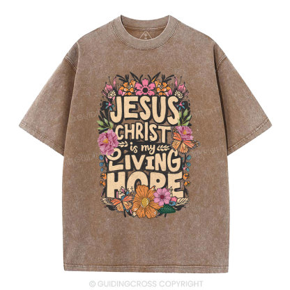 Living Hope Christian Washed T-Shirt
