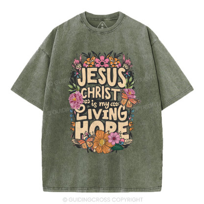 Living Hope Christian Washed T-Shirt