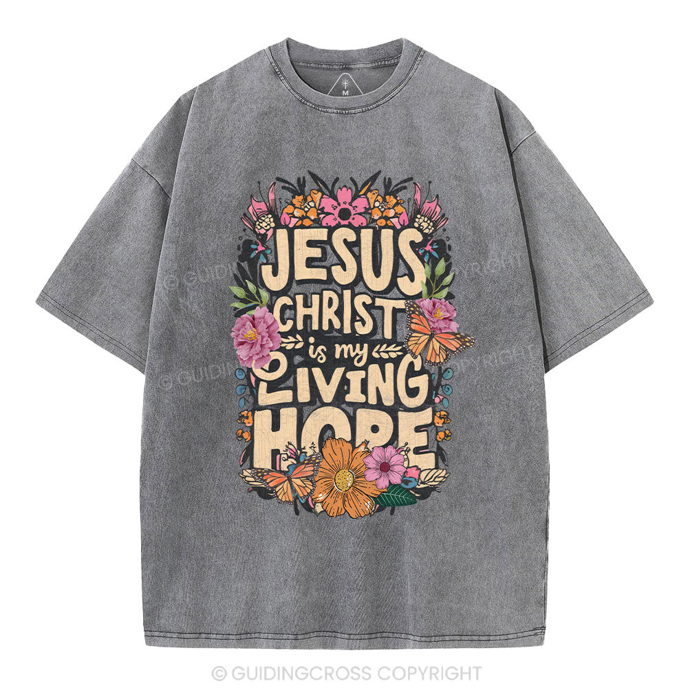 Living Hope Christian Washed T-Shirt