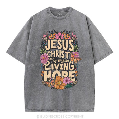 Living Hope Christian Washed T-Shirt