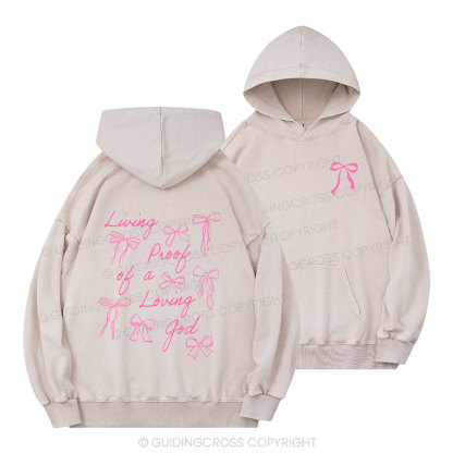 Living Proof Of A Loving God Christian Washed Hoodie