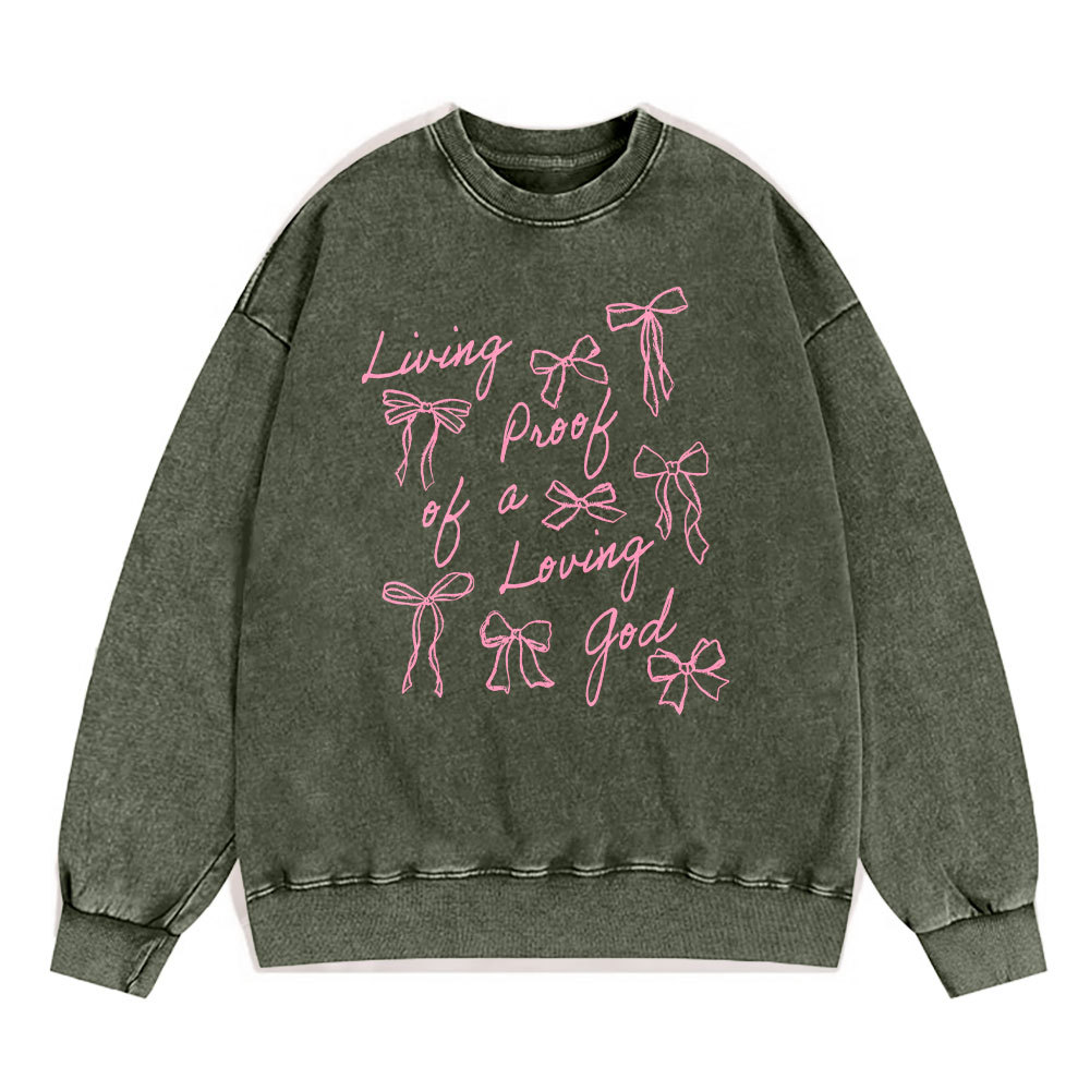 Living Proof Of A Loving God Christian Washed Sweatshirt