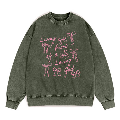 Living Proof Of A Loving God Christian Washed Sweatshirt