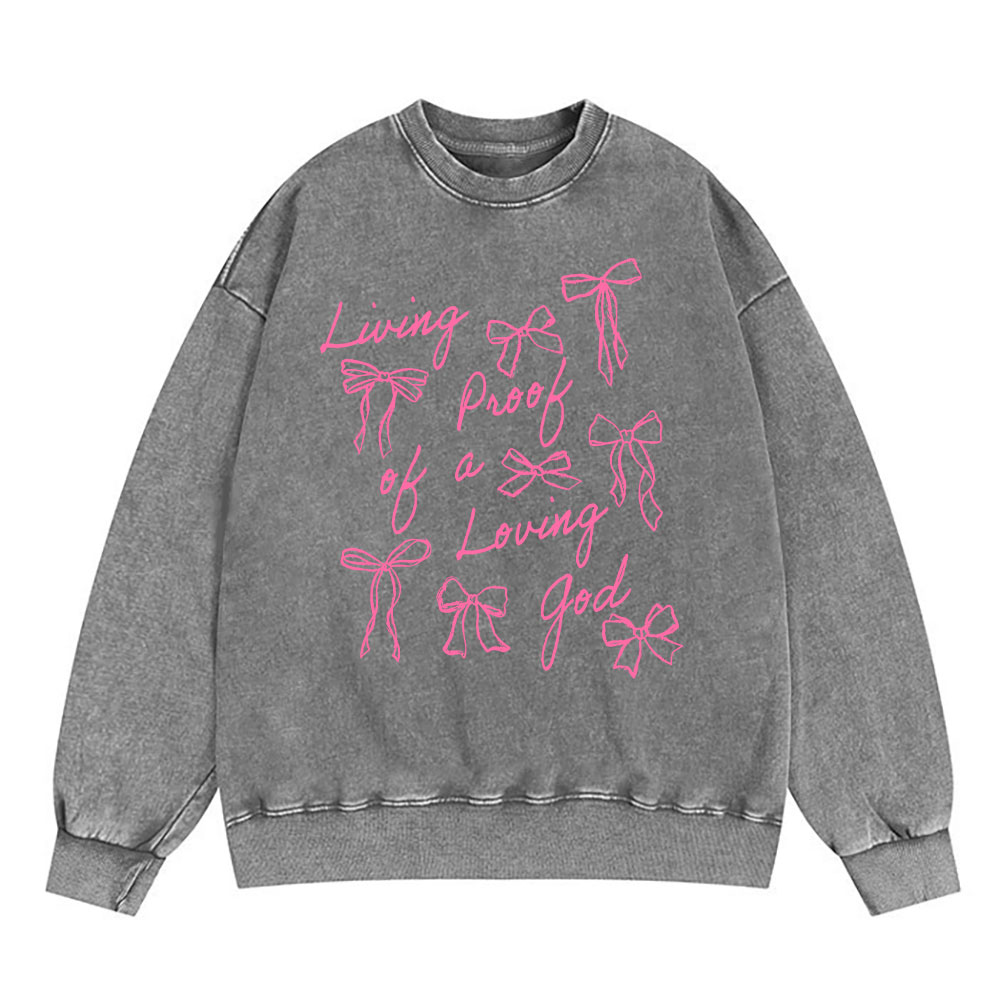 Living Proof Of A Loving God Christian Washed Sweatshirt