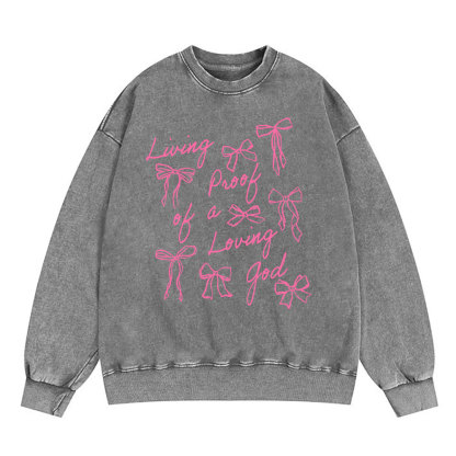 Living Proof Of A Loving God Christian Washed Sweatshirt