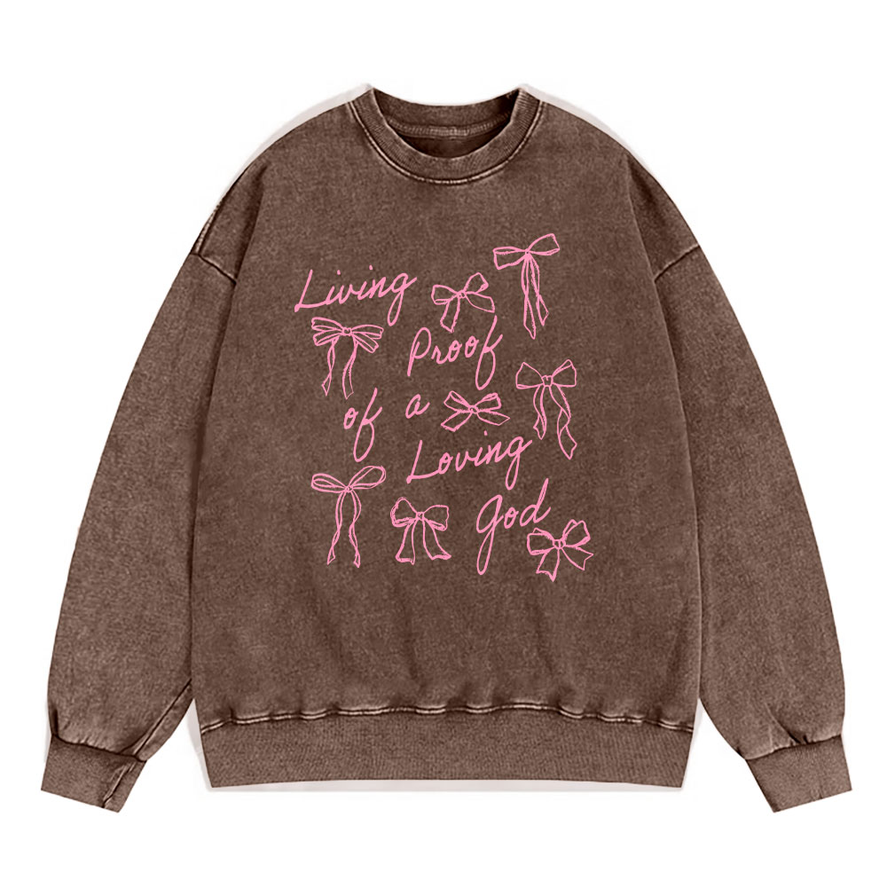 Living Proof Of A Loving God Christian Washed Sweatshirt