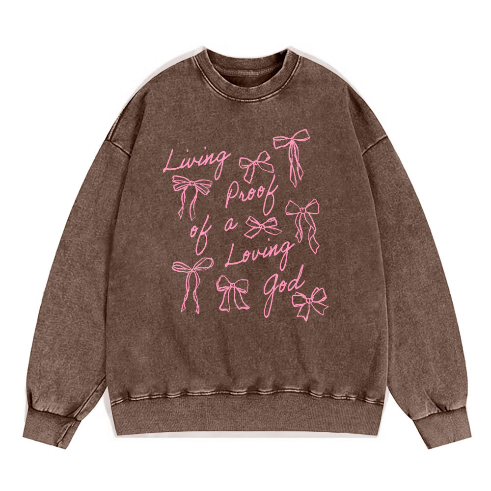 Living Proof Of A Loving God Christian Washed Sweatshirt