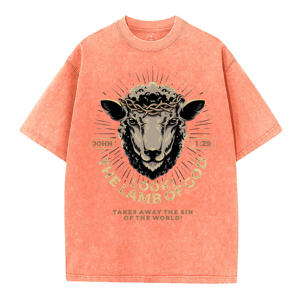 Look! The Lamb Of God Christian Washed T-Shirt