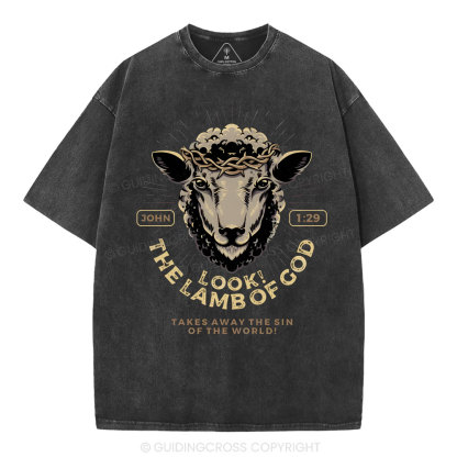 Look! The Lamb Of God Christian Washed T-Shirt