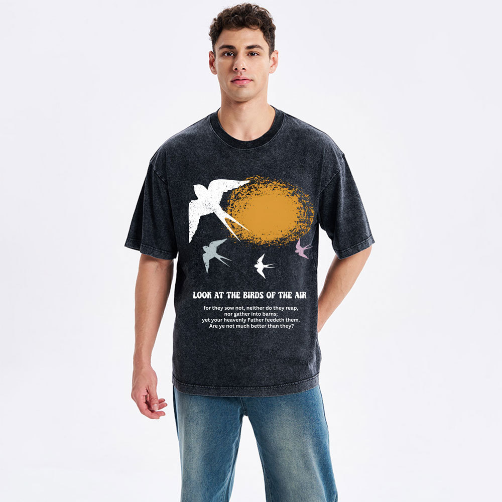 Look At The Birds Of The Air Christian Washed T-Shirt