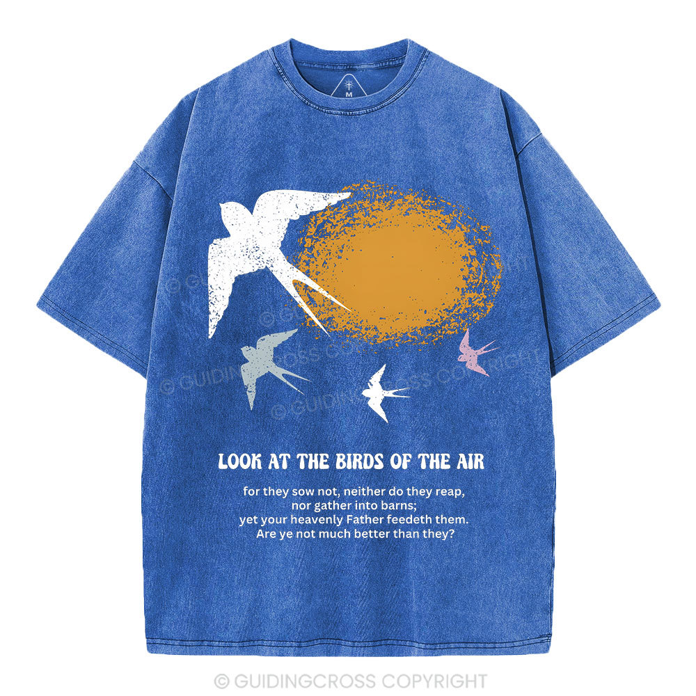 Look At The Birds Of The Air Christian Washed T-Shirt