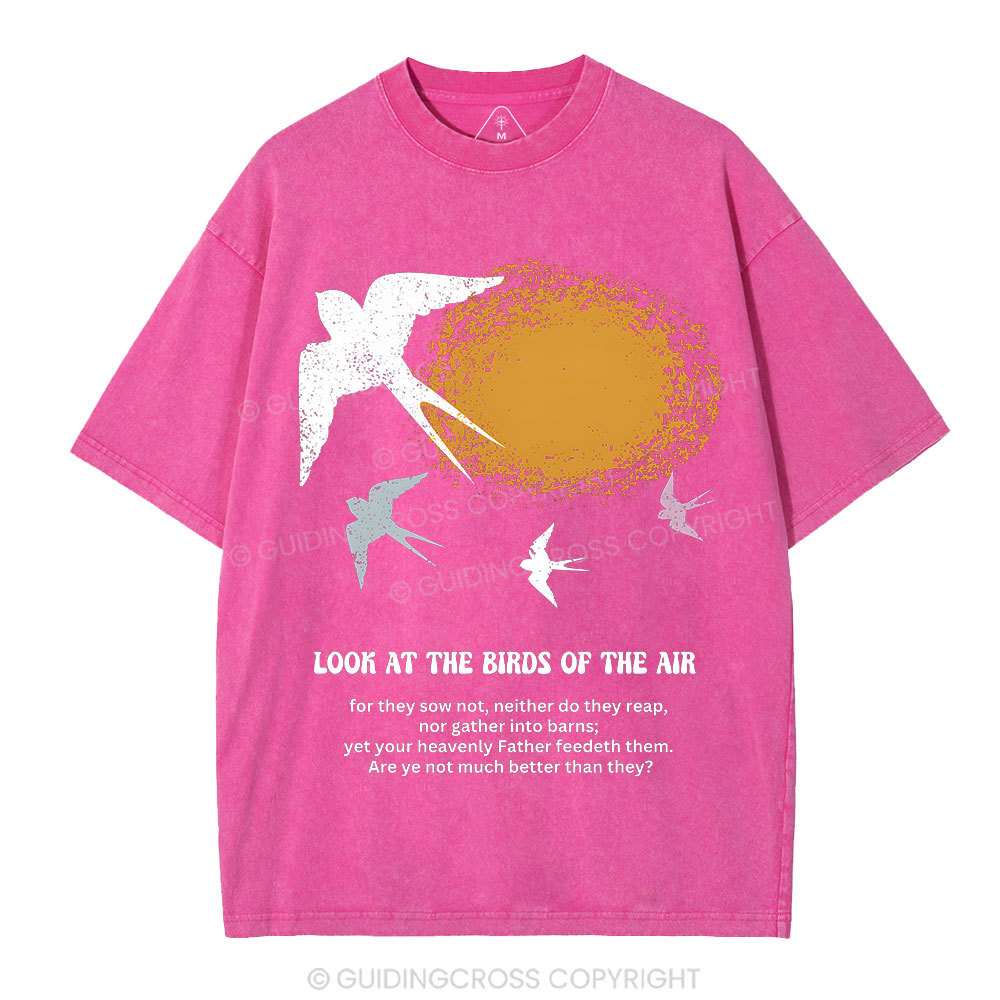 Look At The Birds Of The Air Christian Washed T-Shirt