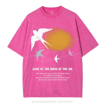 Look At The Birds Of The Air Christian Washed T-Shirt