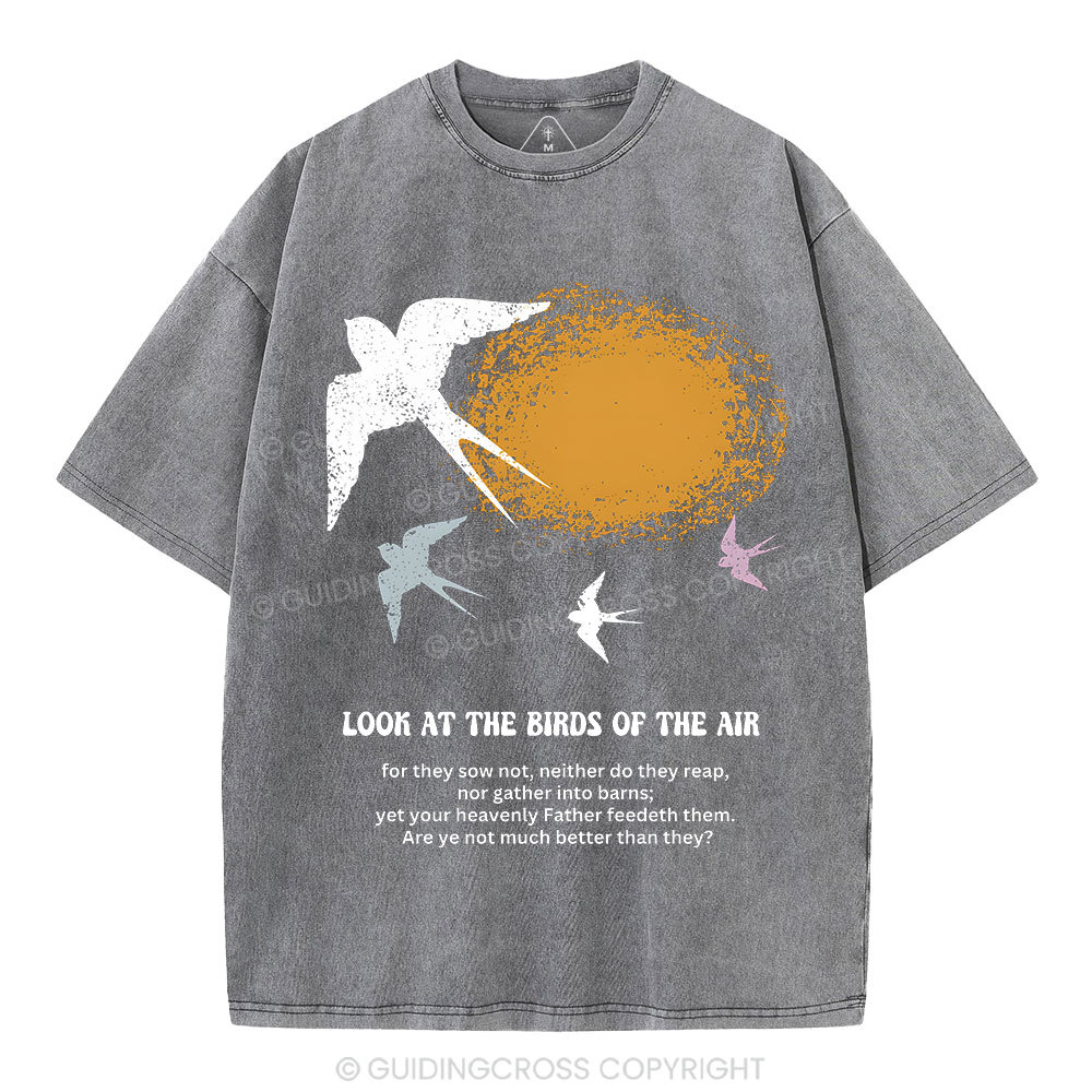 Look At The Birds Of The Air Christian Washed T-Shirt