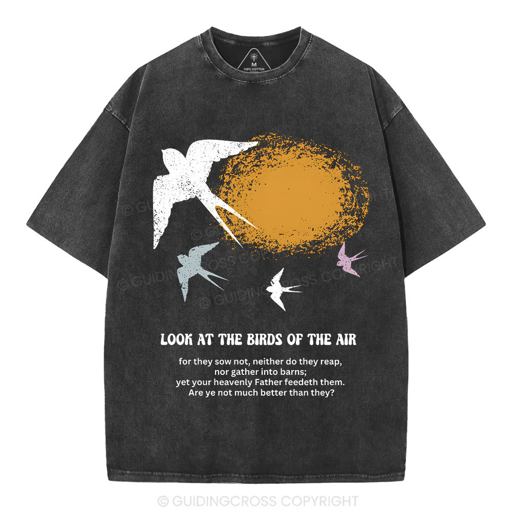 Look At The Birds Of The Air Christian Washed T-Shirt