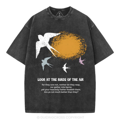 Look At The Birds Of The Air Christian Washed T-Shirt