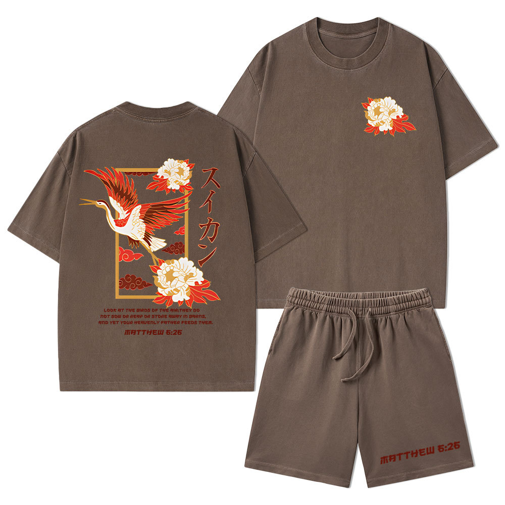Look At The Birds Of The Sky Christian Washed T-Shirt & Shorts