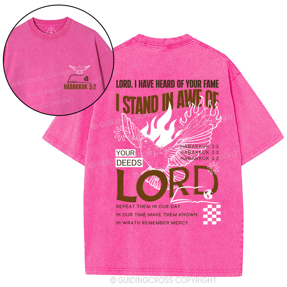 Lord I Have Heard Of Your Fame Christian Washed T-Shirt