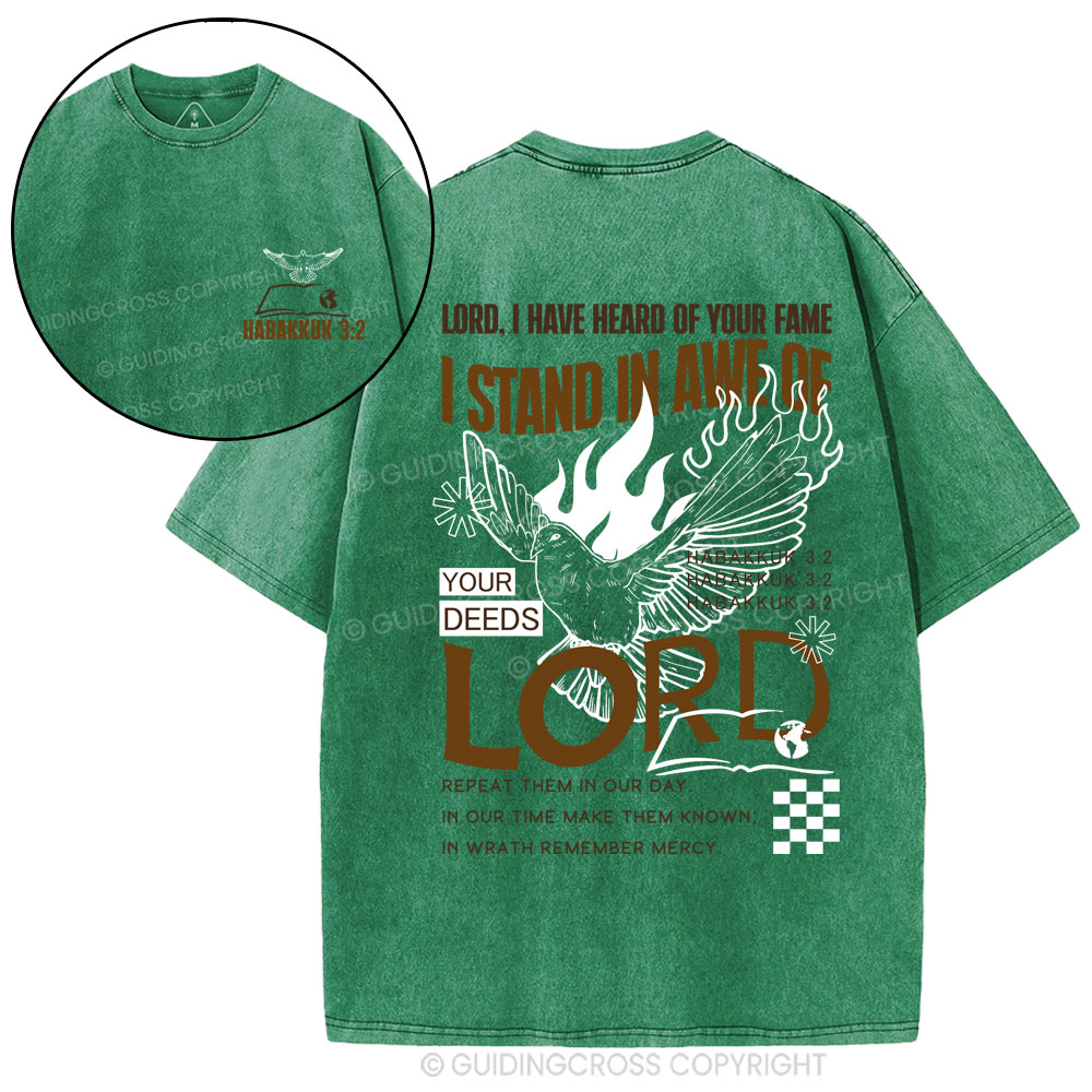 Lord I Have Heard Of Your Fame Christian Washed T-Shirt