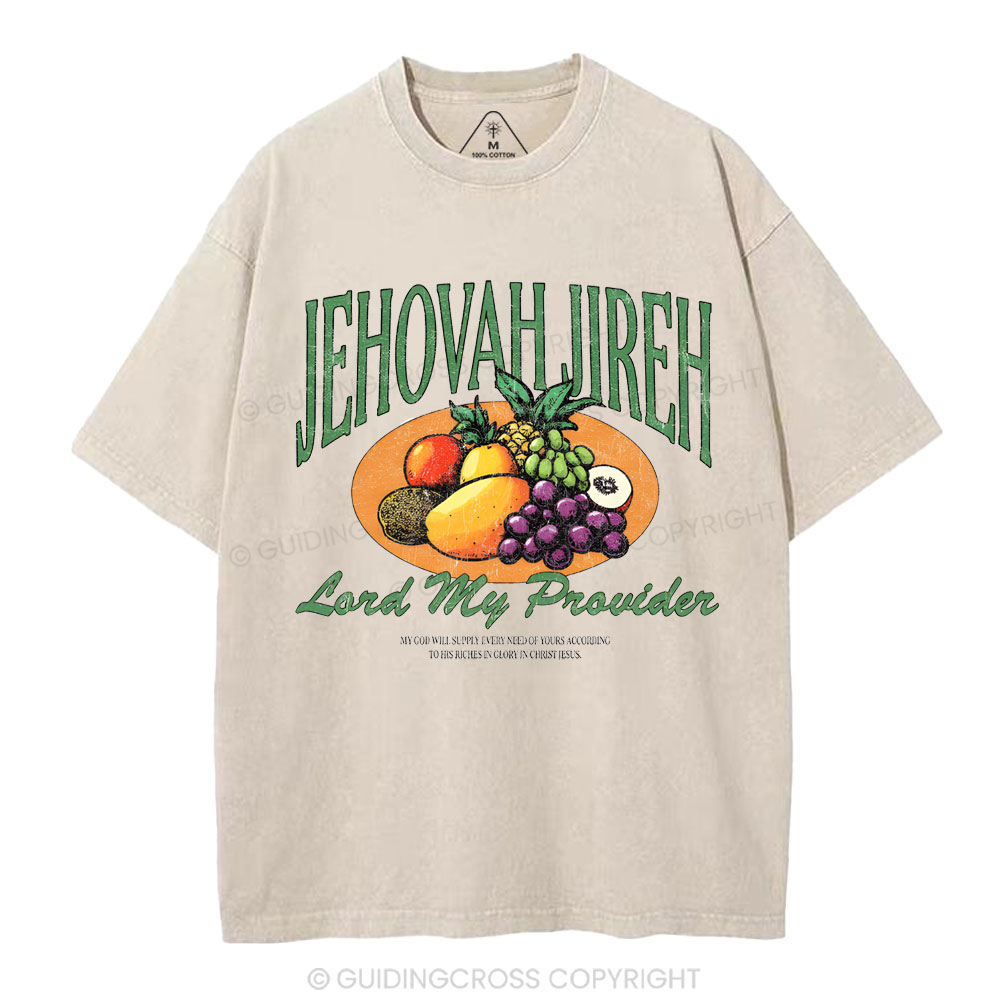 Lord My Provider Christian Washed T-Shirt