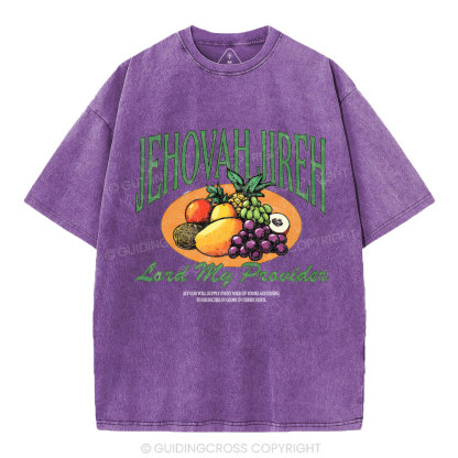 Lord My Provider Christian Washed T-Shirt