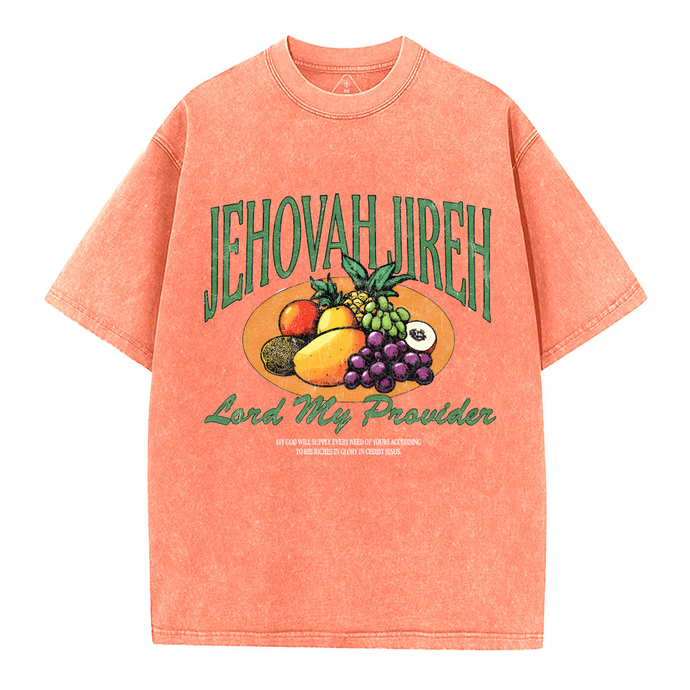 Lord My Provider Christian Washed T-Shirt