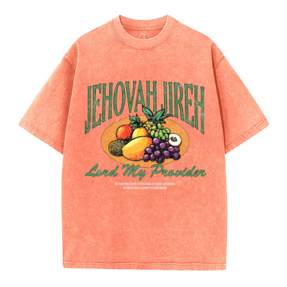 Lord My Provider Christian Washed T-Shirt