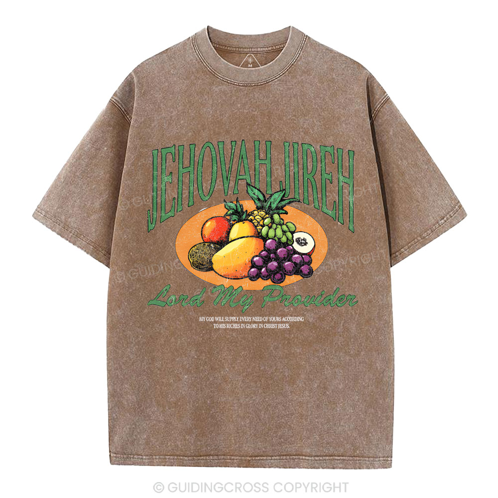 Lord My Provider Christian Washed T-Shirt