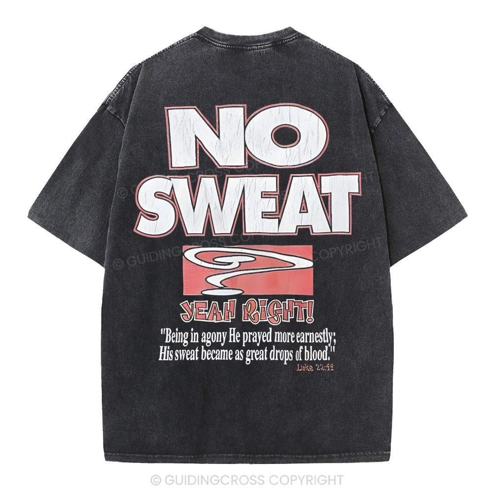 Lord's Gym Christian Washed T-Shirt