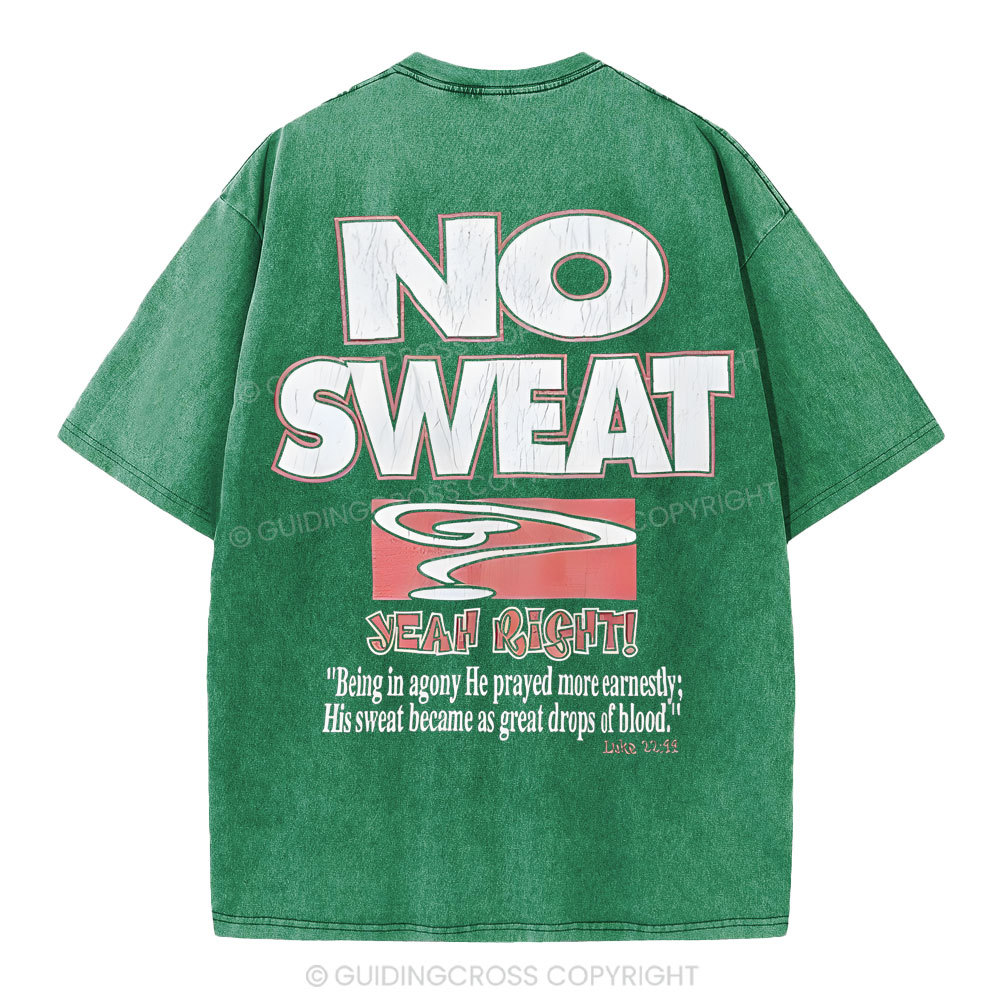 Lord's Gym Christian Washed T-Shirt