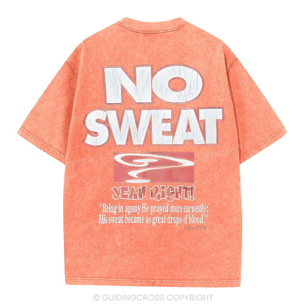 Lord's Gym Christian Washed T-Shirt