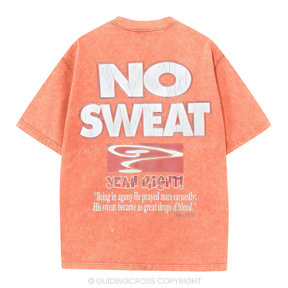 Lord's Gym Christian Washed T-Shirt