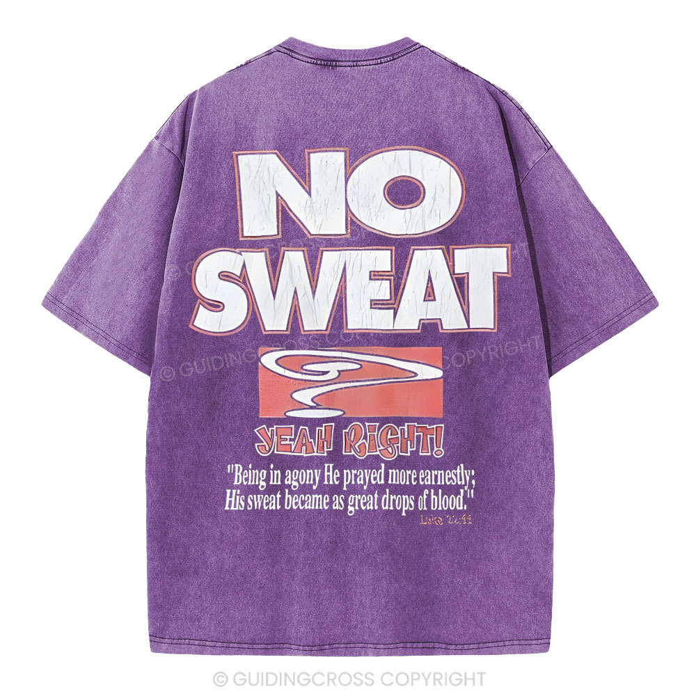 Lord's Gym Christian Washed T-Shirt