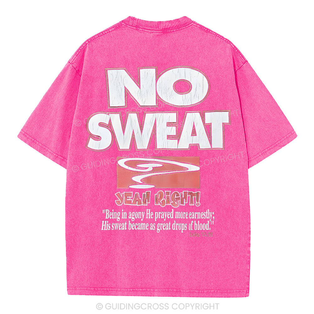 Lord's Gym Christian Washed T-Shirt